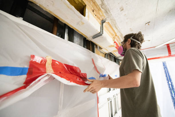 Best Mold Prevention Services  in Avalon, NJ