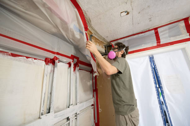Best Emergency Mold Remediation  in Avalon, NJ