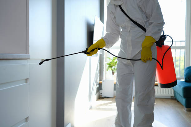 Best Industrial Mold Remediation  in Avalon, NJ