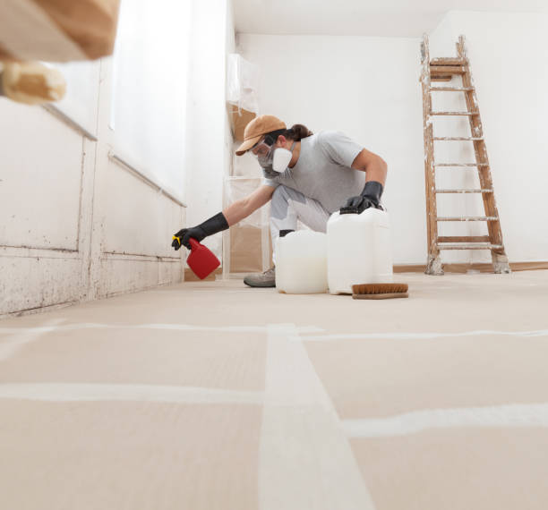 Best Environmental Consulting for Mold Prevention  in Avalon, NJ